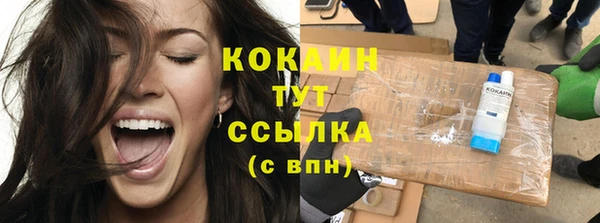 твердый Богородск