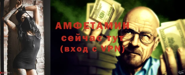 ECSTASY Богданович