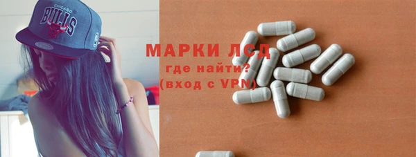 ECSTASY Богданович