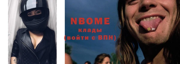 индика Протвино