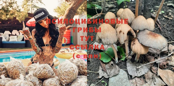 твердый Богородск