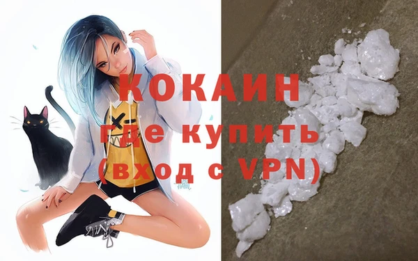 ECSTASY Богданович