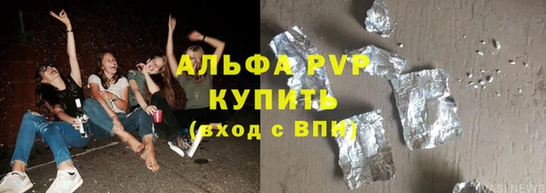 ECSTASY Богданович