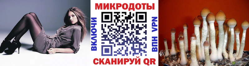 Галлюциногенные грибы Psilocybe Далматово